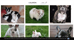 Desktop Screenshot of caninattitude.fr